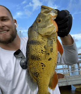 Everglades Peacock Bass Adventure
