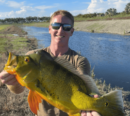 Everglades Peacock Bass Adventure