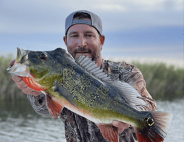 Everglades Peacock Bass Adventure