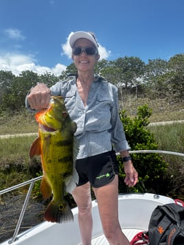 Everglades Peacock Bass Adventure