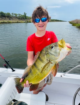 Everglades Peacock Bass Adventure