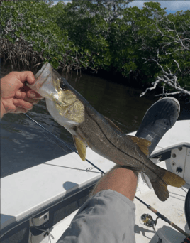 4-8 Hours Fishing Trip