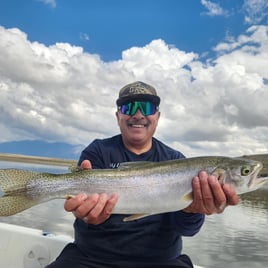 Trout & Bass Eastern Sierra 