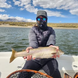 Trout & Bass Eastern Sierra 