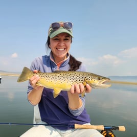 Trout & Bass Eastern Sierra 