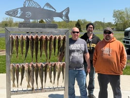 Lake Erie Walleye Fishing