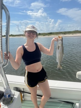 Clean Ice Catch And Release