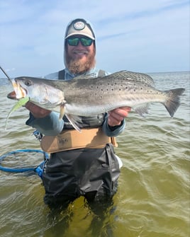 Wade Fishing