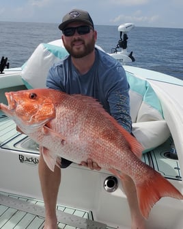 Nearshore ( Snapper)