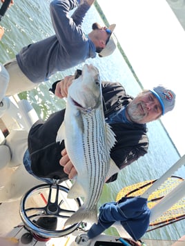 Top-Water Action Striper 2-4ppl 6am