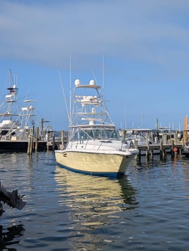 6-8 Hour Bottom Fishing Trip