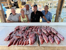6-8 Hour Bottom Fishing Trip