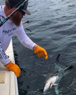 Shark Fishing