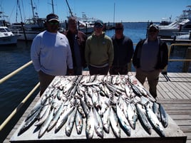 Half Day Trip – Trolling
