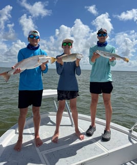 Inshore Cape Fishing