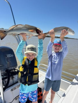 Inshore Cape Fishing