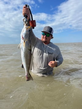 Inshore Cape Fishing