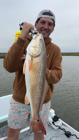 Inshore Cape Fishing