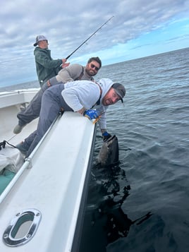 Jig & Pop Tuna 