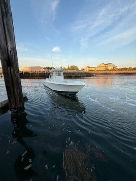 Jig & Pop Tuna 