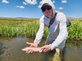 Upper Owens River