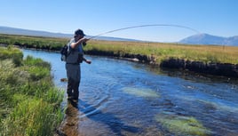 Upper Owens River