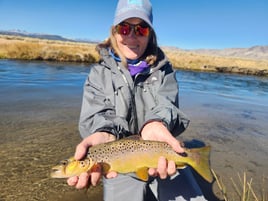 Upper Owens River
