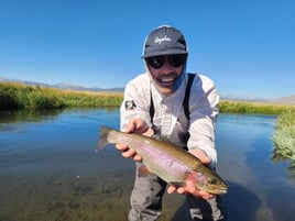 Upper Owens River