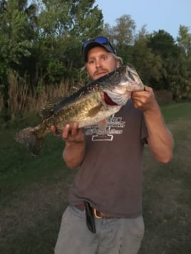 Peacock And Largemouth Bass Fishing