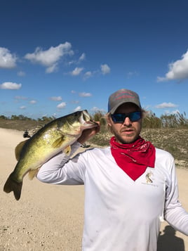 Peacock And Largemouth Bass Fishing