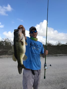 Peacock And Largemouth Bass Fishing