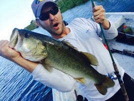 Peacock And Largemouth Bass Fishing
