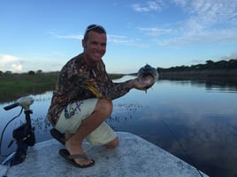 Peacock And Largemouth Bass Fishing