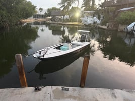Peacock And Largemouth Bass Fishing