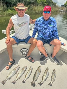 Inshore 6-hour Trip
