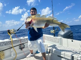 Deep Drop/Sword-fishing Trip