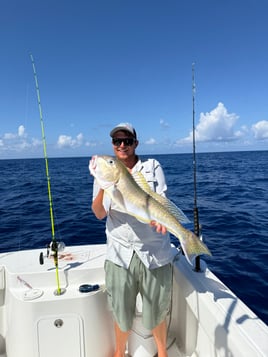 Deep Drop/Sword-fishing Trip