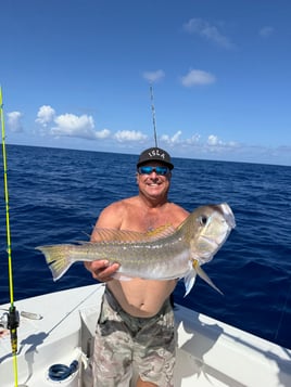 Deep Drop/Sword-fishing Trip