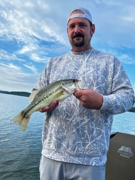 Bass Fishing Table Rock Lake