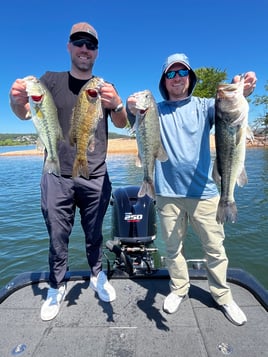 Bass Fishing Table Rock Lake