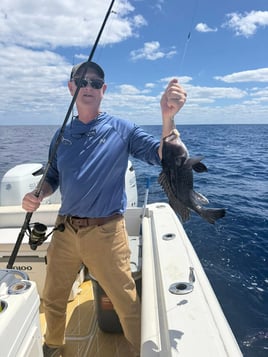 Nearshore & Reef Fishing