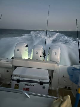 Nearshore & Reef Fishing