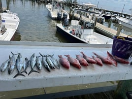 Nearshore & Reef Fishing