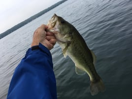 4-8 Hour Trip – Inland Lakes