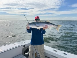 8 Hour Trip – Fluke Sea Bass