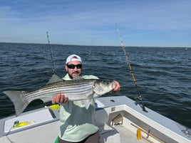 8 Hour Trip – Fluke Sea Bass