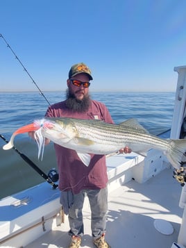 8 Hour Trip – Fluke Sea Bass