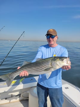 8 Hour Trip – Fluke Sea Bass