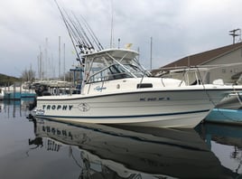 Lake Michigan Salmon Trip