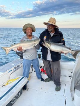 Lake Michigan Salmon Trip